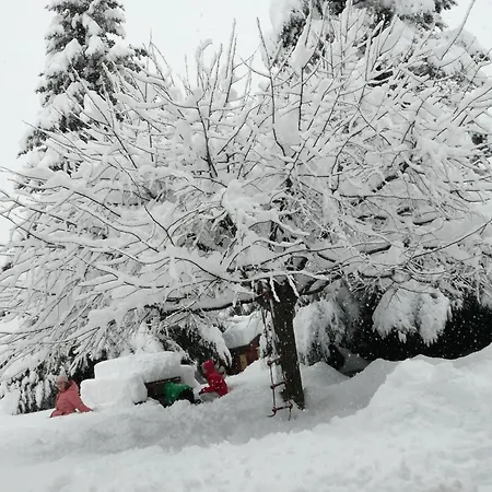 Apartamento Cal Pastor De Planes Planoles (Planolas)