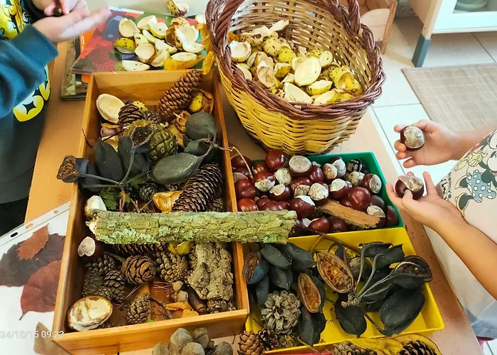 Cal Pastor De Planès *